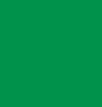 Herrin Festa Flag Green